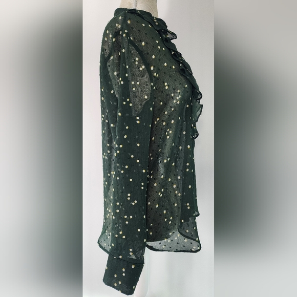 H&M Sheer Ruffled Blouse - Picture 4 of 9